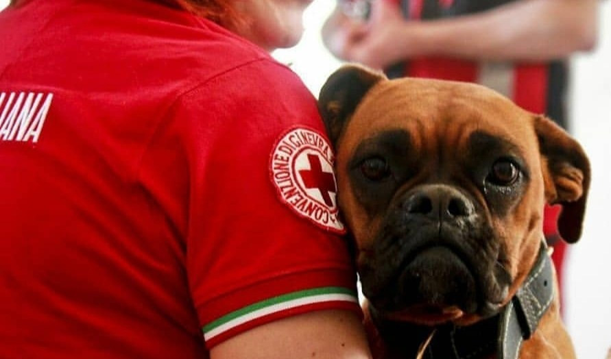 Genova, trentenne muore nel letto: il cane non fa avvicinare nessuno