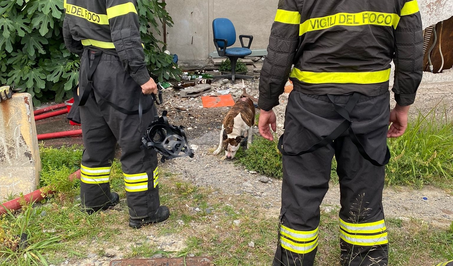Genova, fuoriuscita di fumo in lungomare Canepa: salvato un cane