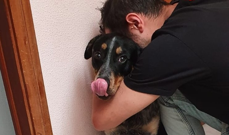Genova, cani salvati da abusi: cinque persone indagate