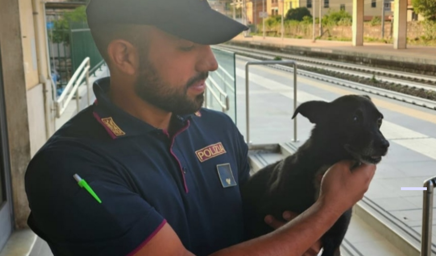 Turisti perdono cagnolino, ritrovato dalla Polfer dopo due giorni