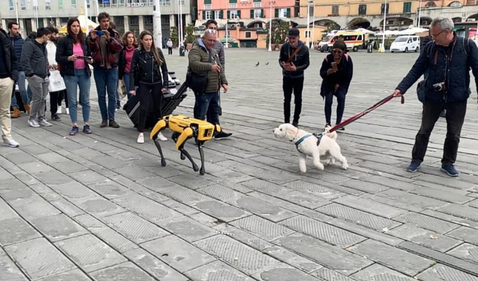 Il cane-robot dell'Università di Genova a spasso per le vie della città