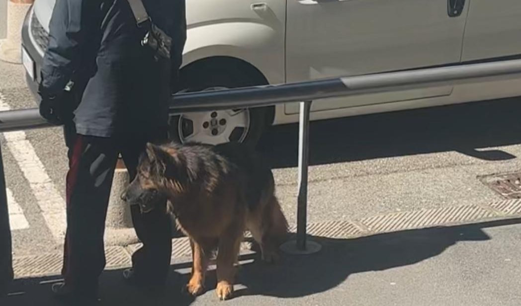 Pausa al processo Morandi per l'abbaiare di un cane legato davanti al tribunale