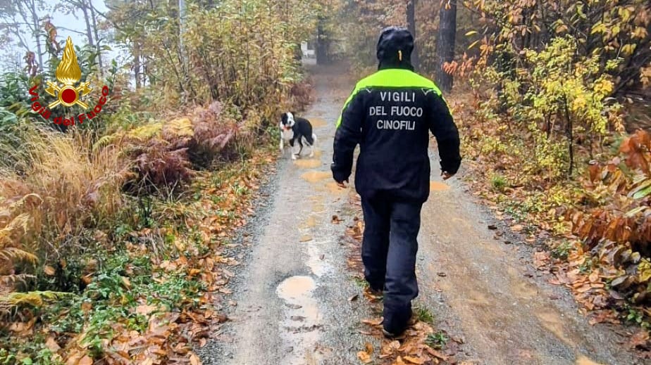 I cinofili del vigili del fuoco Un cane da soccorso dei vigili del fuoco
