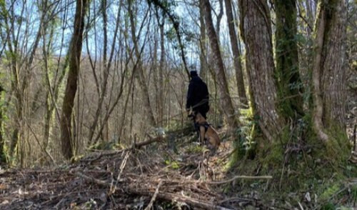 Cadavere nel bosco: cani trovano altri frammenti ossei