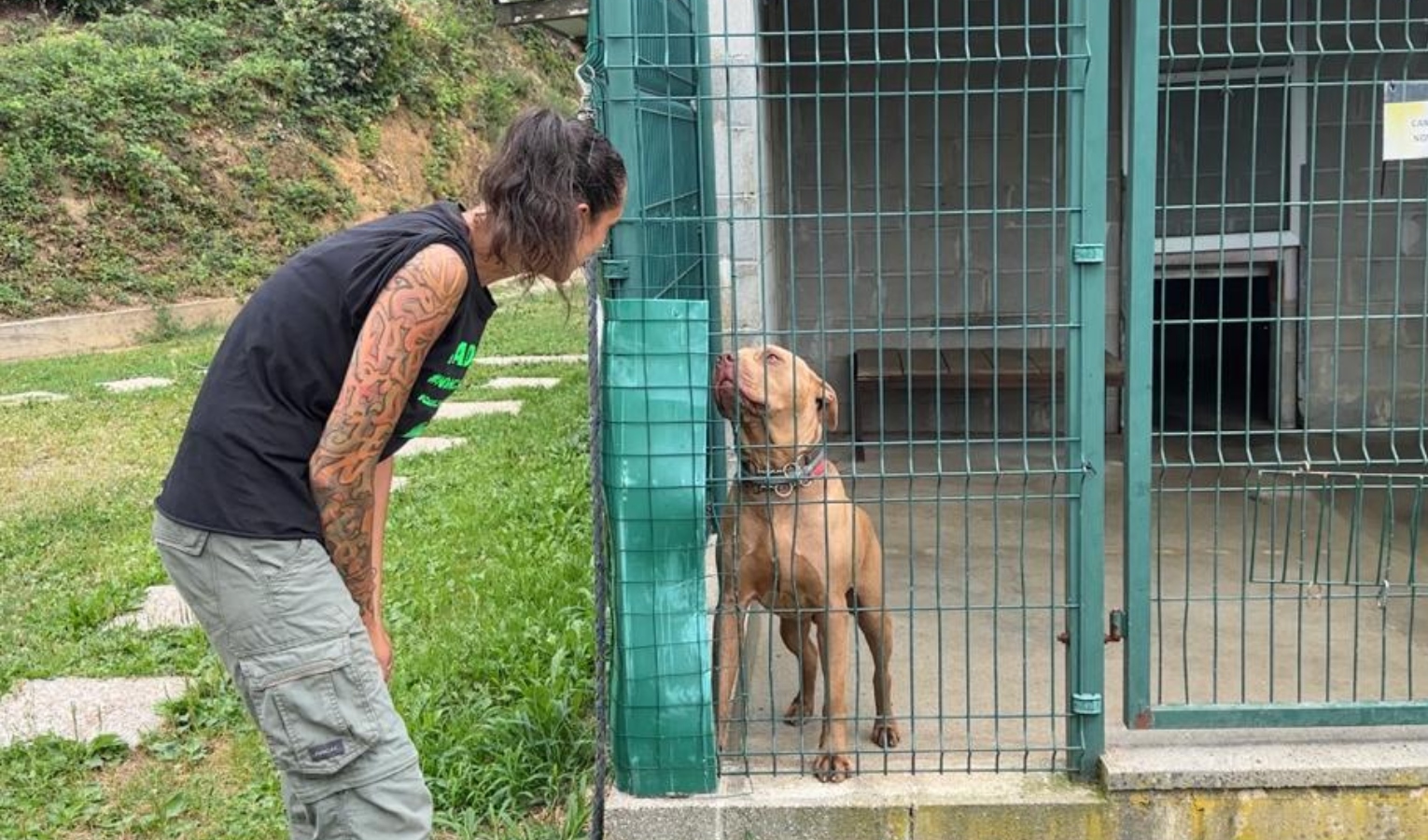 Inchiesta, sempre più rinunce di cani anziani: viaggio nel canile di Genova