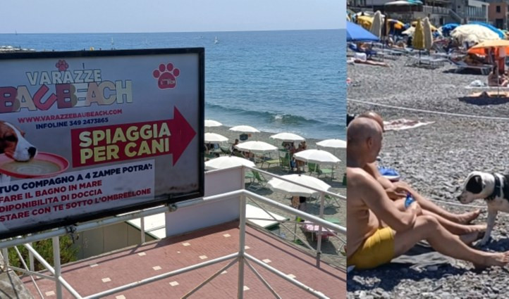 Liguria, boom spiagge per cani: solo con Fido è vera vacanza