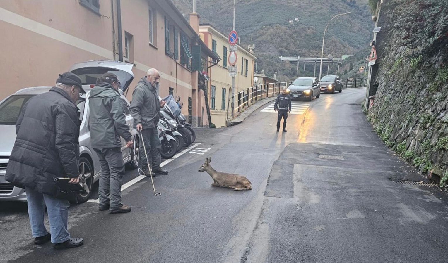 Bogliasco, capriolo intrappolato in un palazzo: salvato dalle guardie