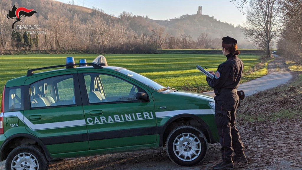 Fiamme sul monte Faudo, arrestato il piromane recidivo