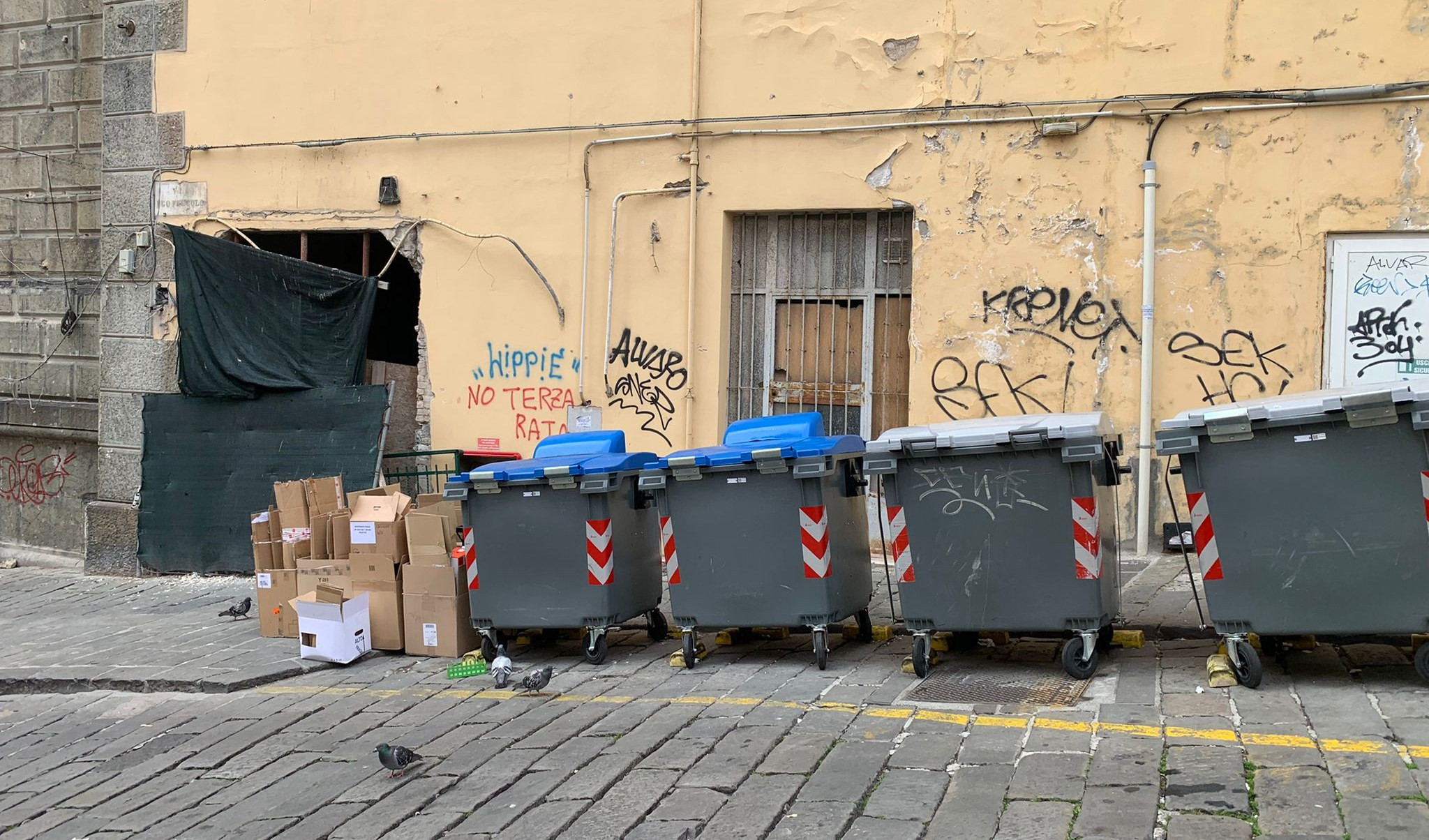 Genova, invasione di topi in centro per un cantiere abbandonato sotto al Ponte Monumentale