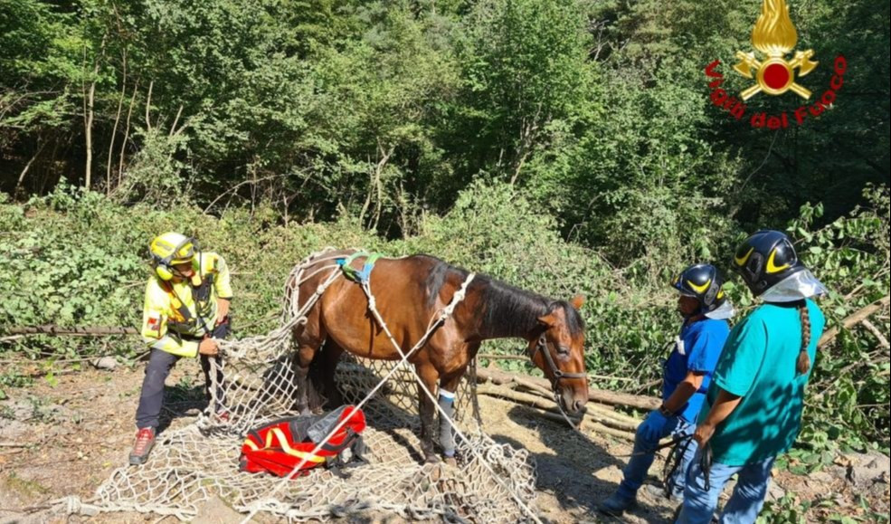 Valle Arroscia: i vigili del fuoco recuperano una cavalla scivolata in un canalone