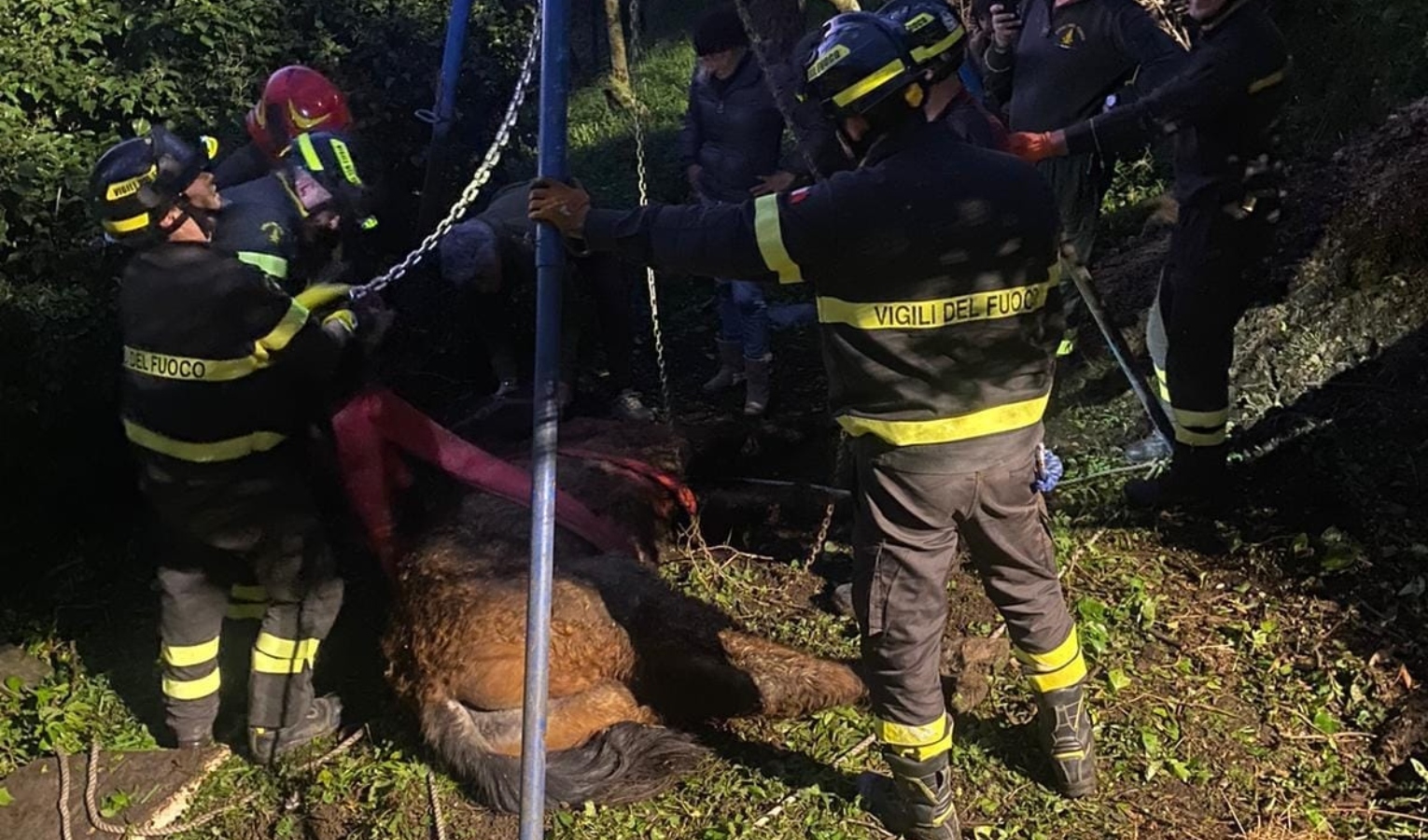 Cogorno, cavallo di 31 anni scivola da una piana: salvato da vigili fuoco