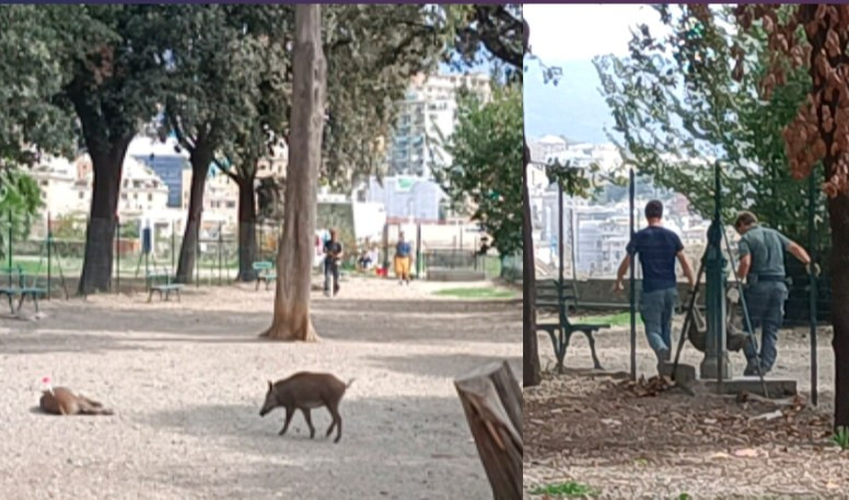 Genova, animalisti chiedono indagine su 