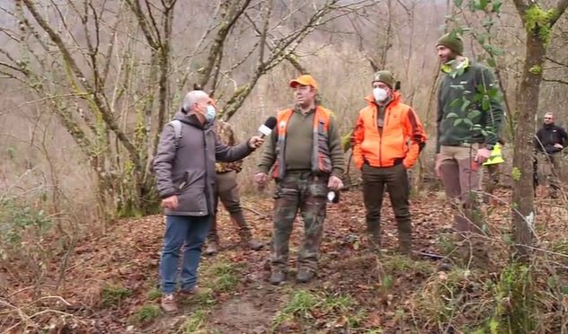 Peste suina, a caccia di cinghiali contagiati con cacciatori disarmati