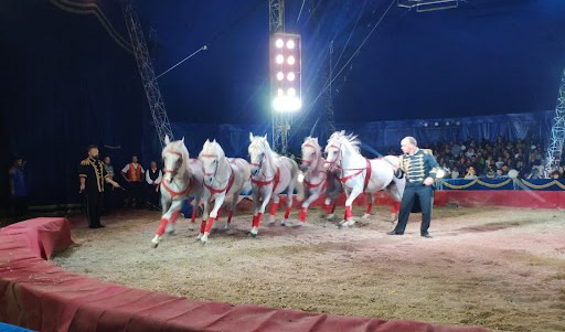 Dal circo al cimento invernale, gli appuntamenti del weekend