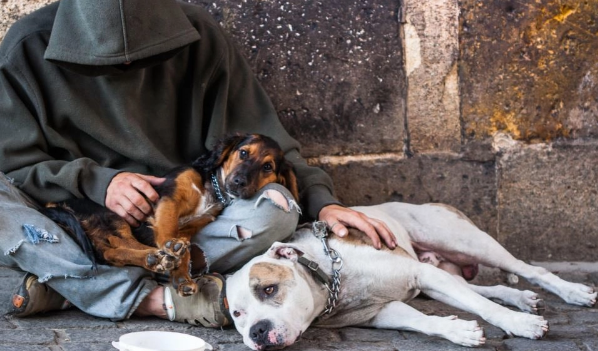 Cani dei clochard: visite e cure gratis dai volontari della Croce Gialla