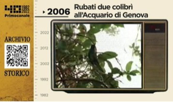 Dall'archivio storico di Primocanale, 2006: all'Acquario rubati due colibrì