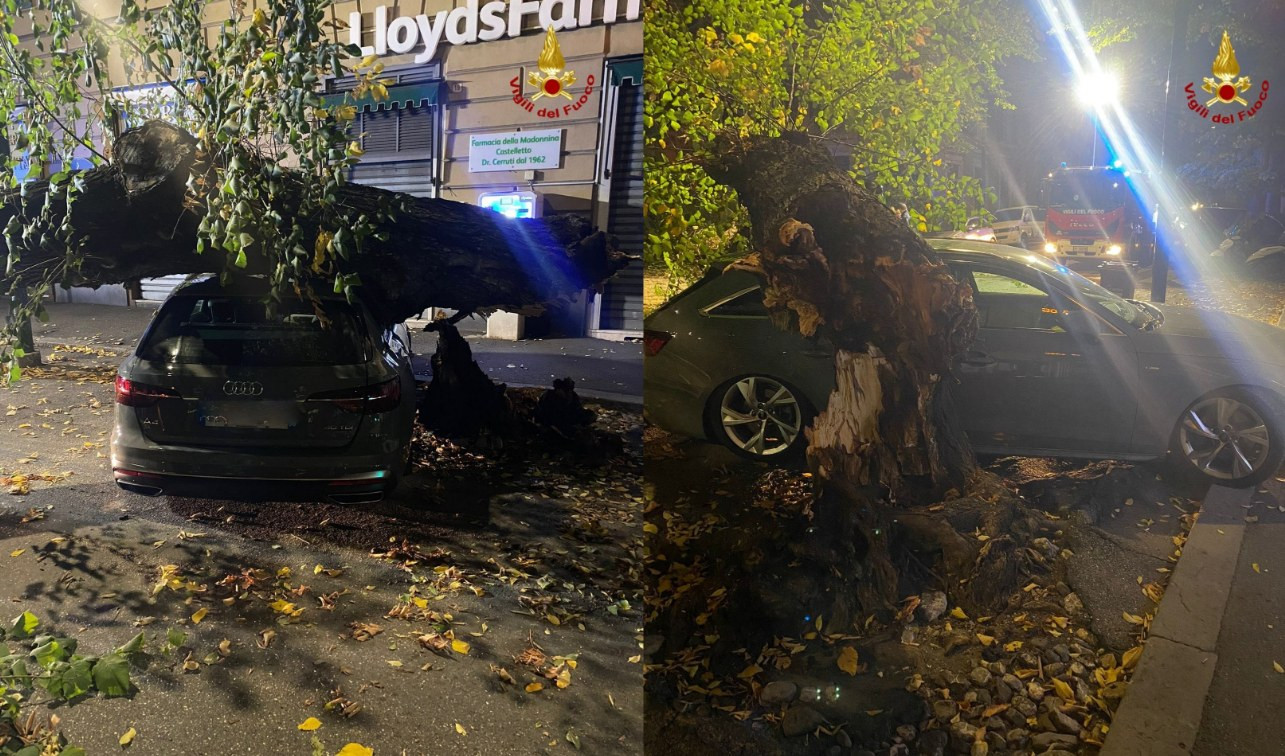 Genova, grosso albero si abbatte sulle auto parcheggiate in corso Magenta