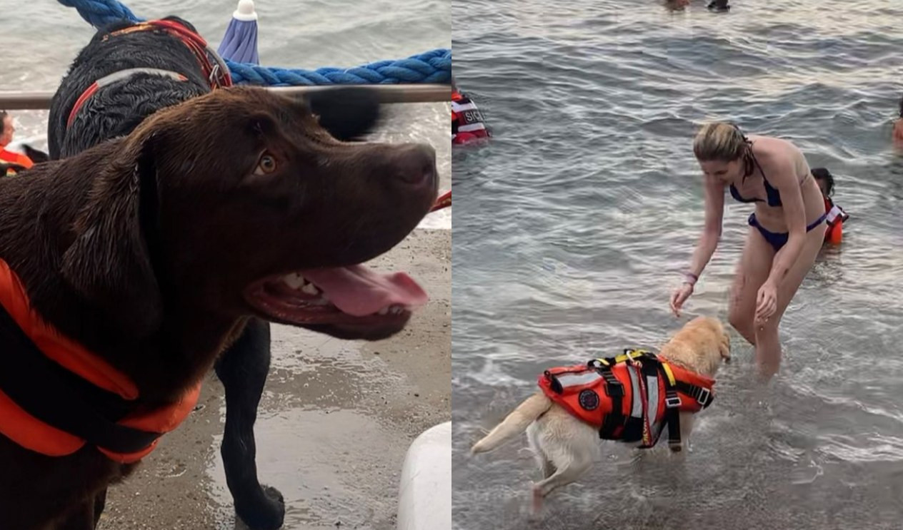 Genova, sulla spiaggia del Gaslini i piccoli pazienti incontrano i cani bagnino