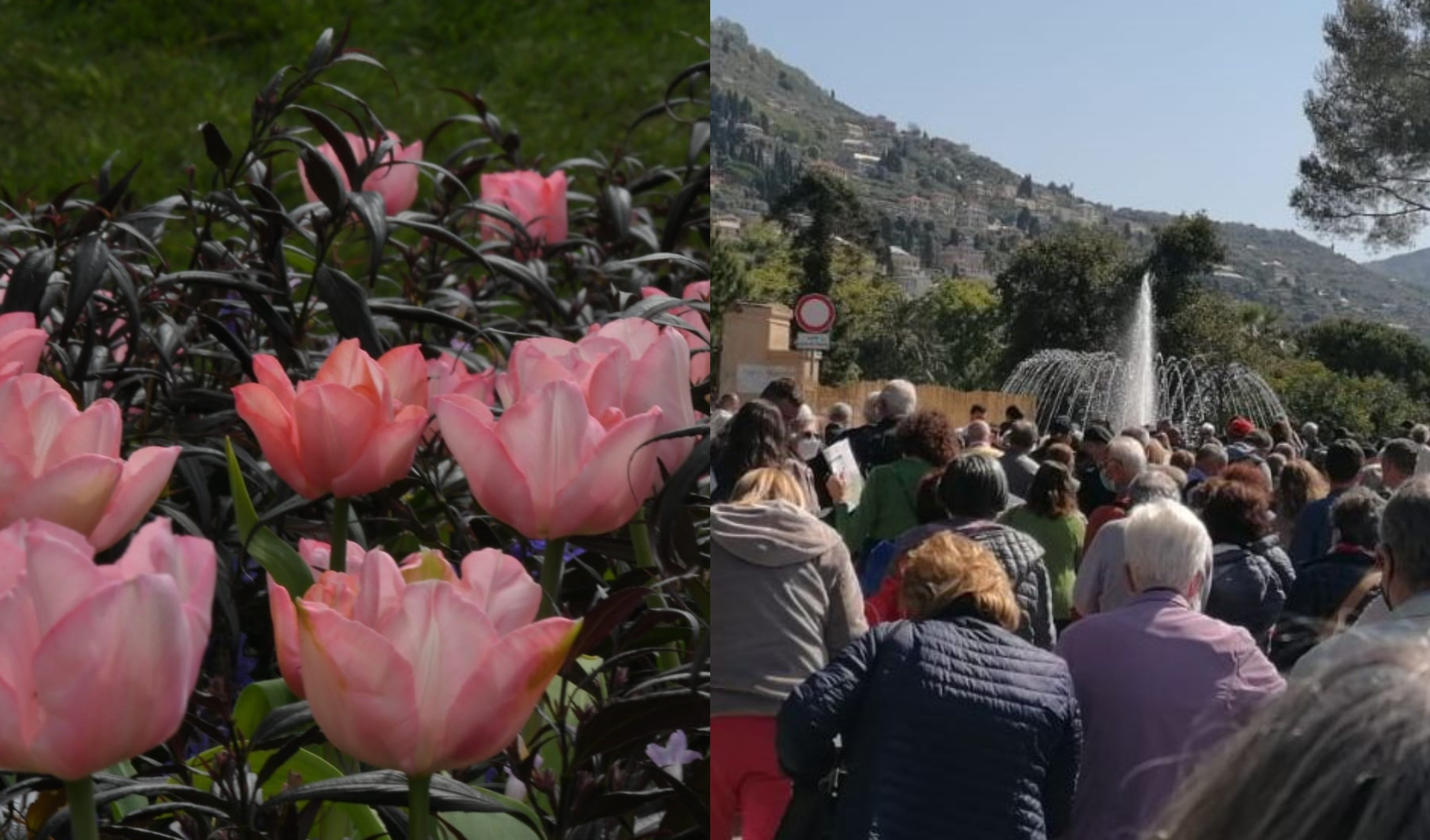 Si chiude la 12esima edizione di Euroflora: stimati 240 mila visitatori