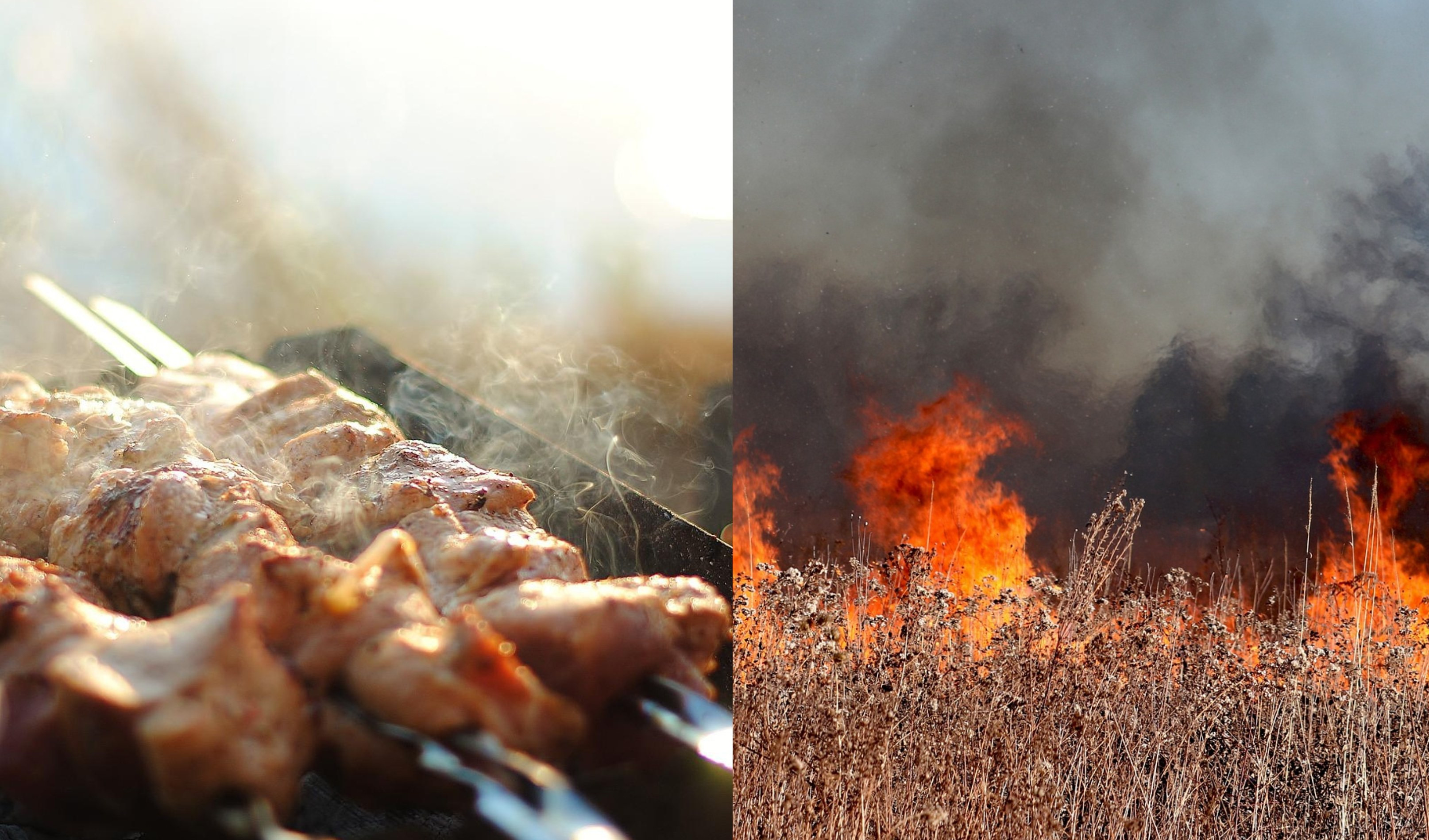 Pasquetta, le regole per una grigliata in sicurezza 