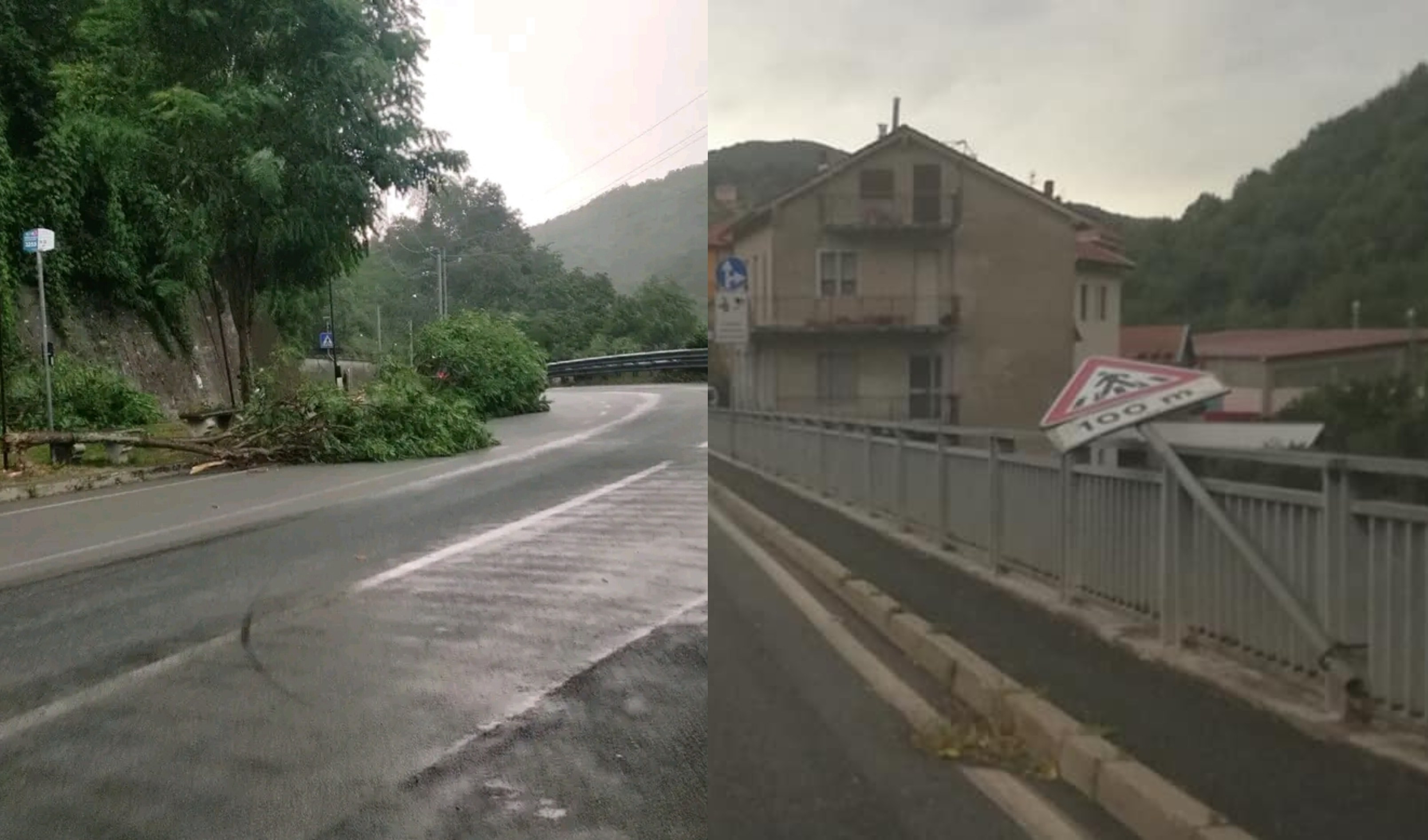 Temporale improvviso, alberi si abbattono sulla carreggiata: caos a Genova