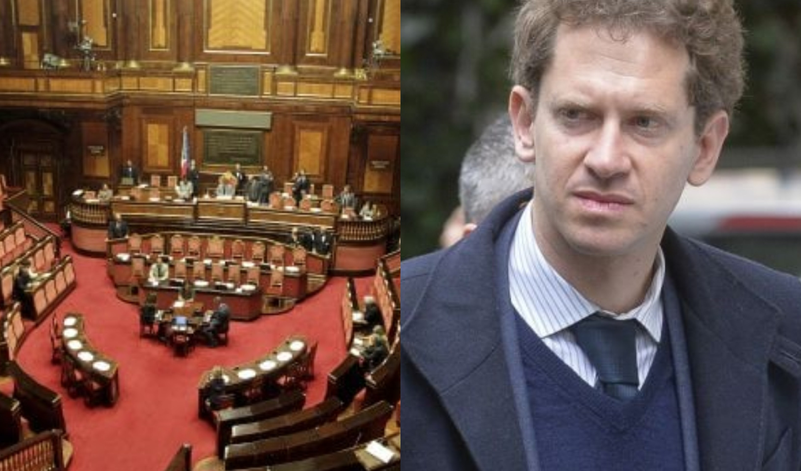 Elezioni politiche, partiti anti-sistema si dividono. Crucioli (L'Alternativa C'è): 