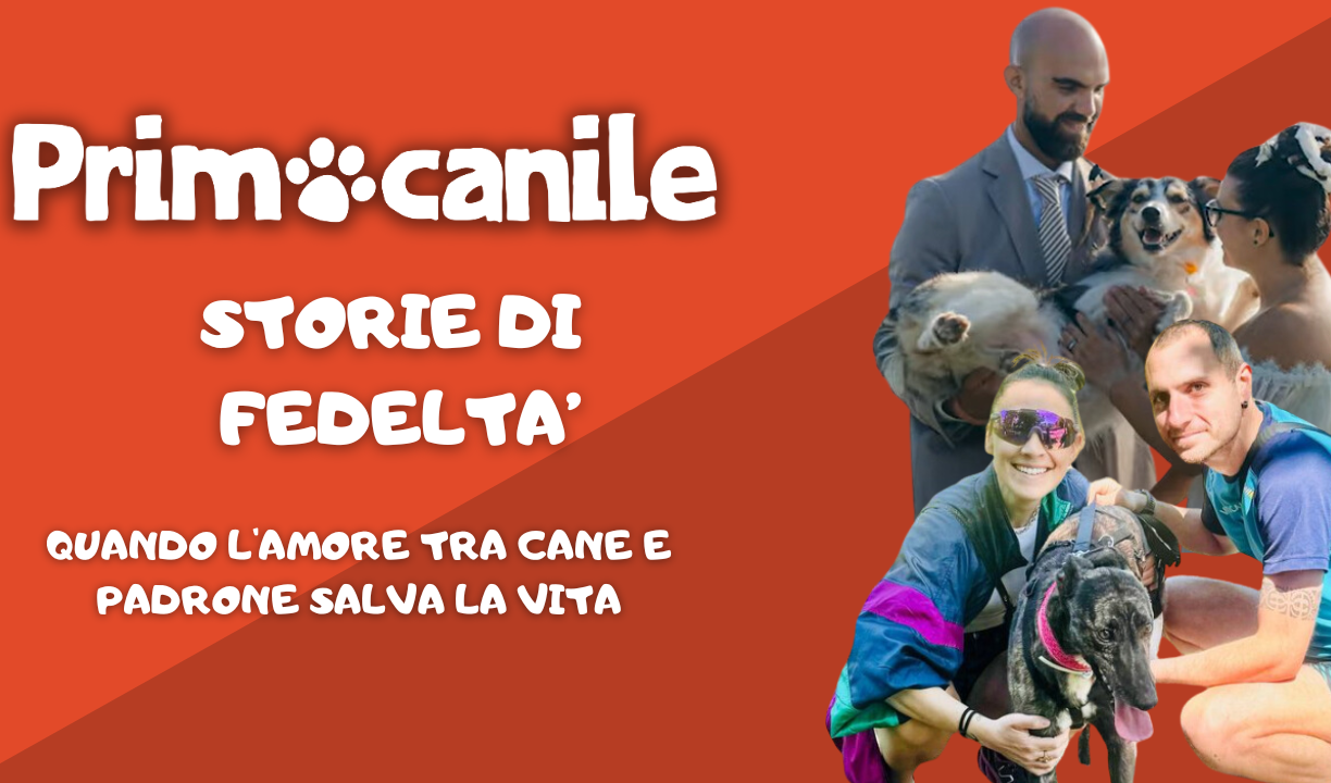 Primocanile - Quando l'amore tra cane e padrone salva la vita