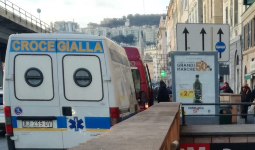 Genova, cane denutrito sequestrato da casa in Centro Storico: ipotesi maltrattamento