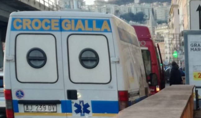Genova, cane travolto e ucciso da auto in via Porta Soprana