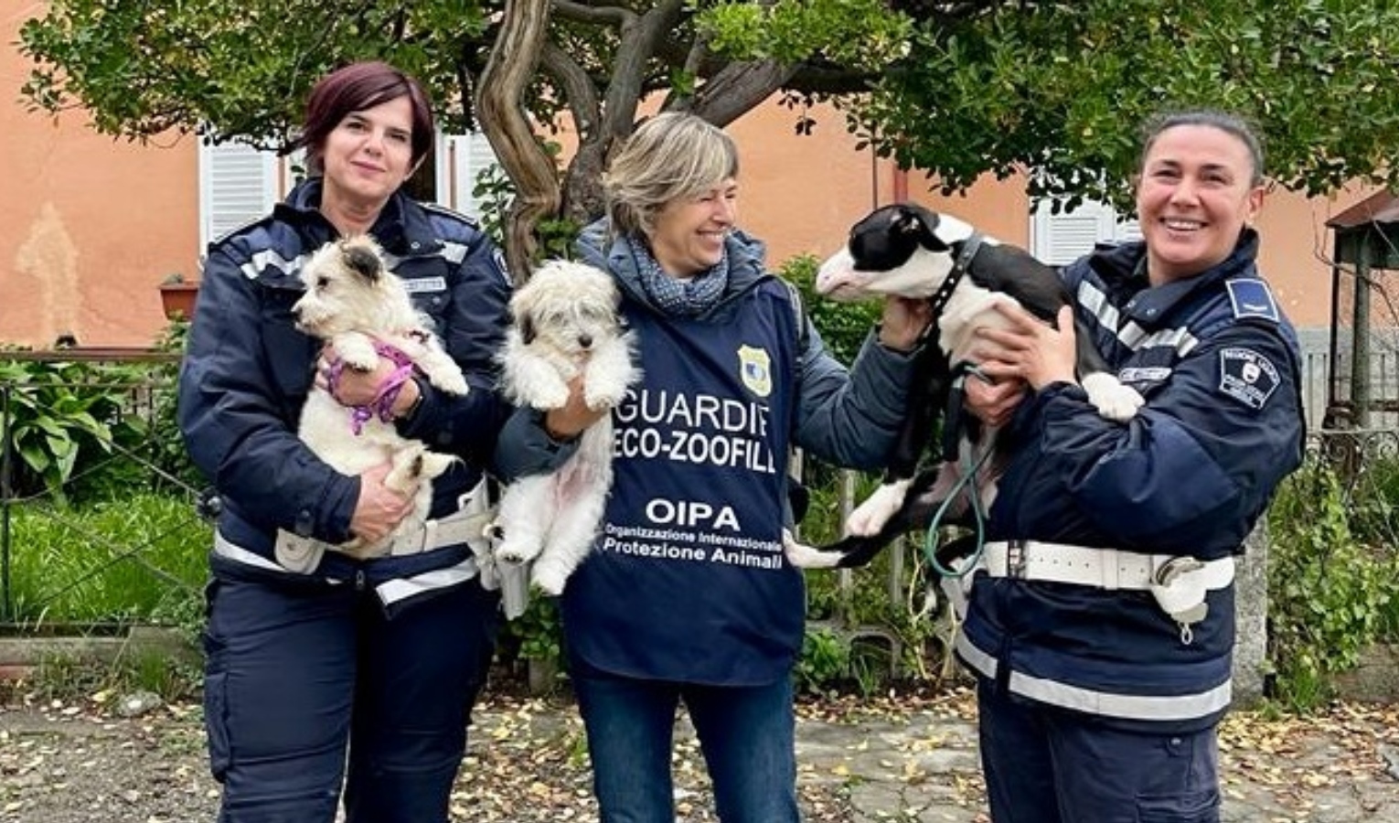 Le guardie zoofile salvano tre cuccioli abbandonati sul balcone