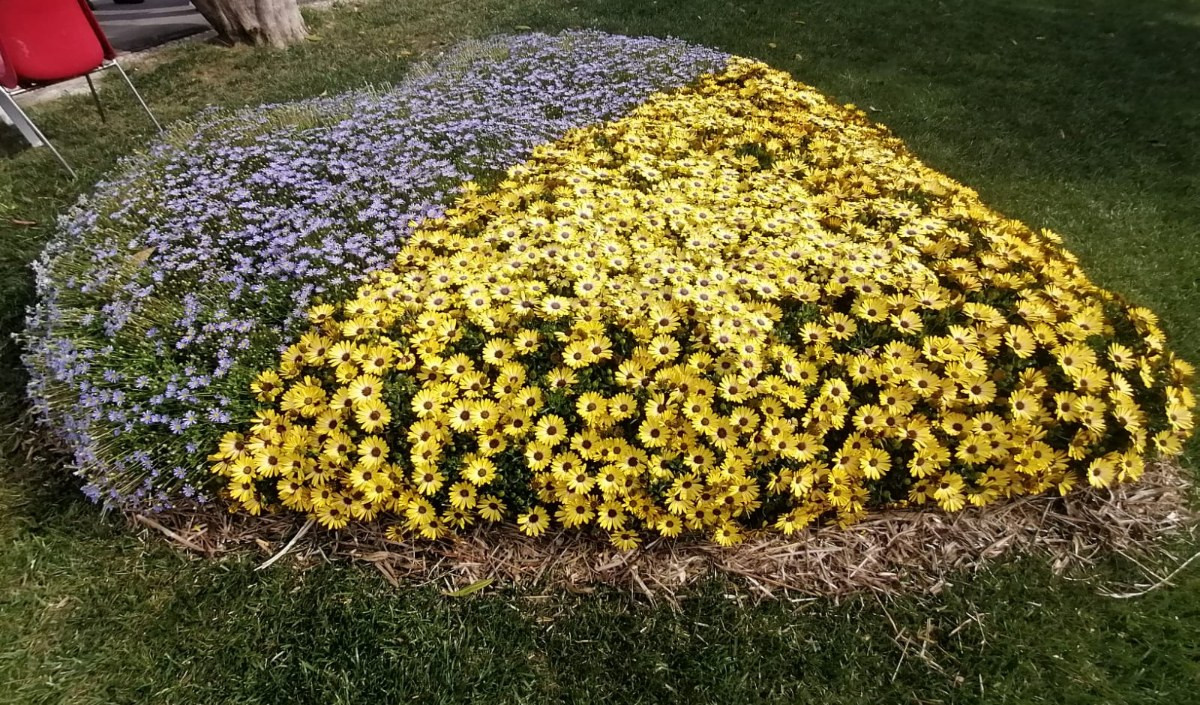 Euroflora, l'aiuola a forma di cuore per l'Ucraina del Marsano