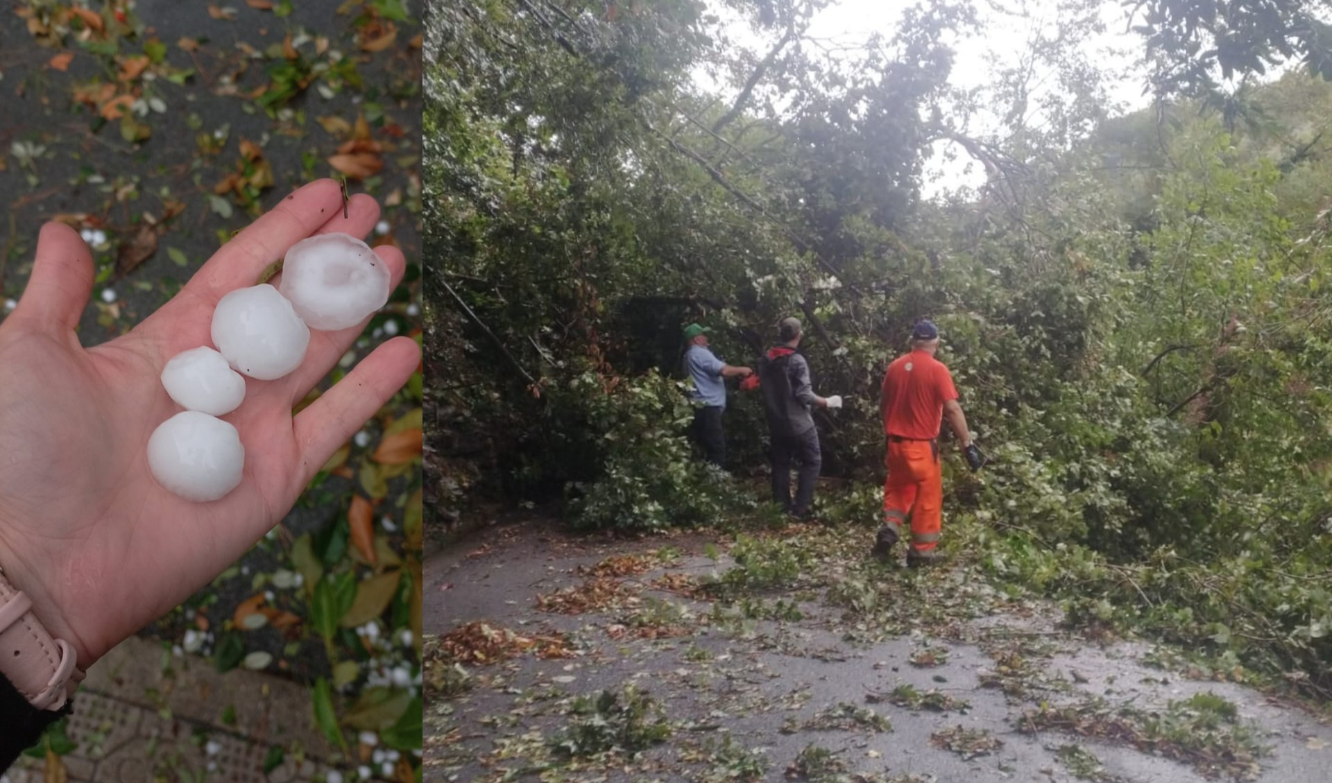 Maltempo, i chicchi di grandine distruggono le coltivazioni nel levante ligure