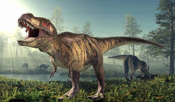 Gli appuntamenti del weekend in Liguria, dai dinosauri a Rossini