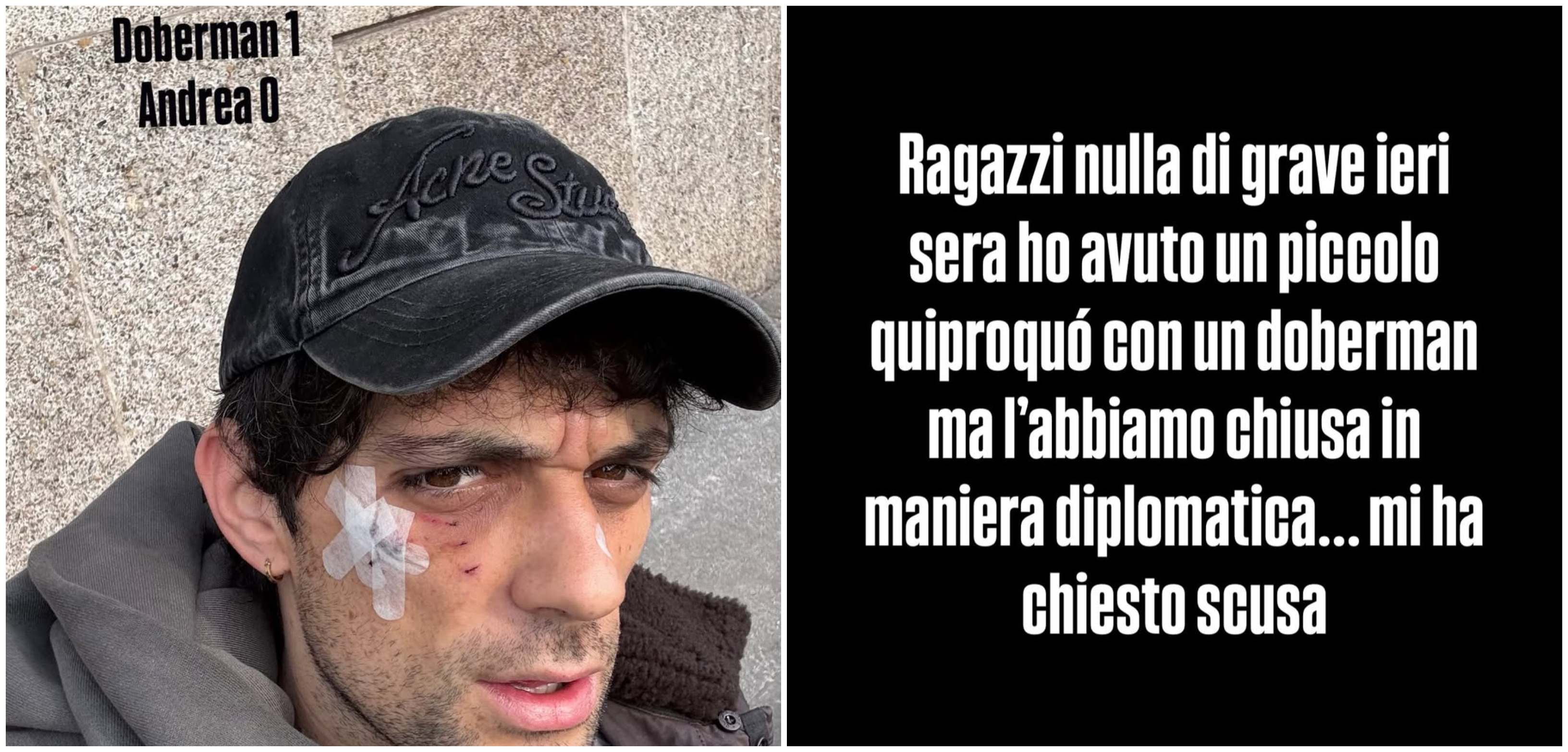 Bresh aggredito da un Dobermann: 