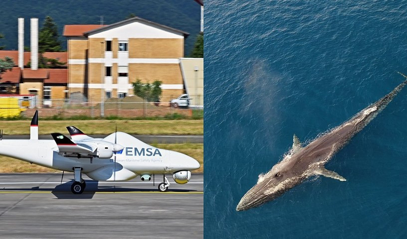 Partono dalla Liguria i droni per la salvaguardia di balene e delfini