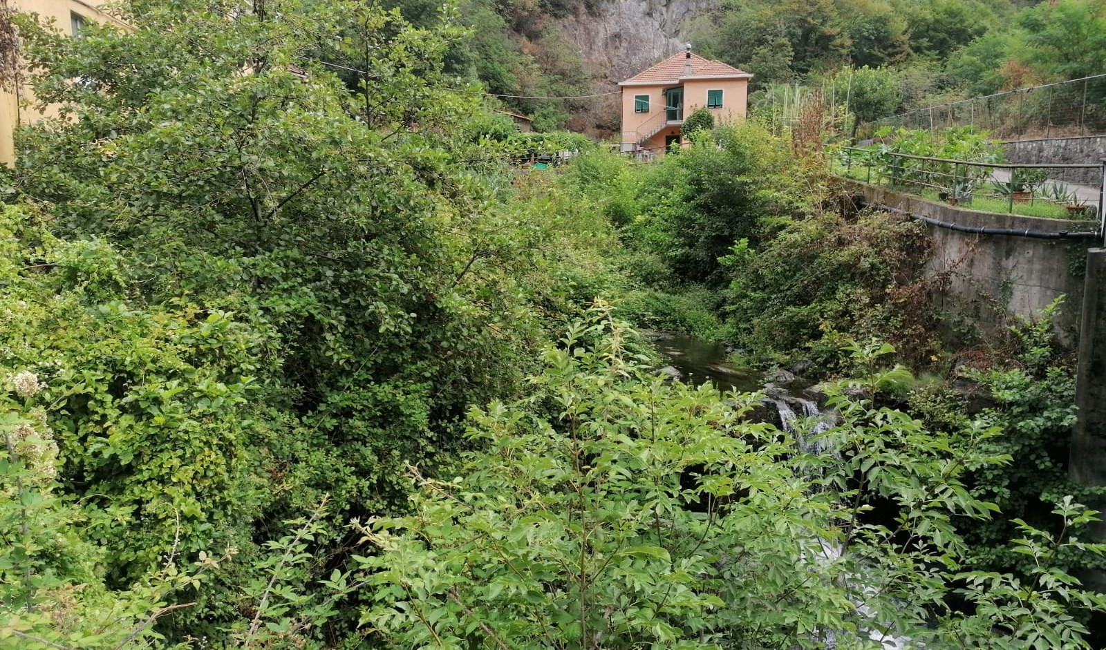 Pulizia dei rivi, l'appello di Regione Liguria: 
