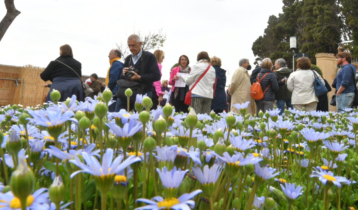 Euroflora, si apre la festa di colori a Nervi: la fotogallery