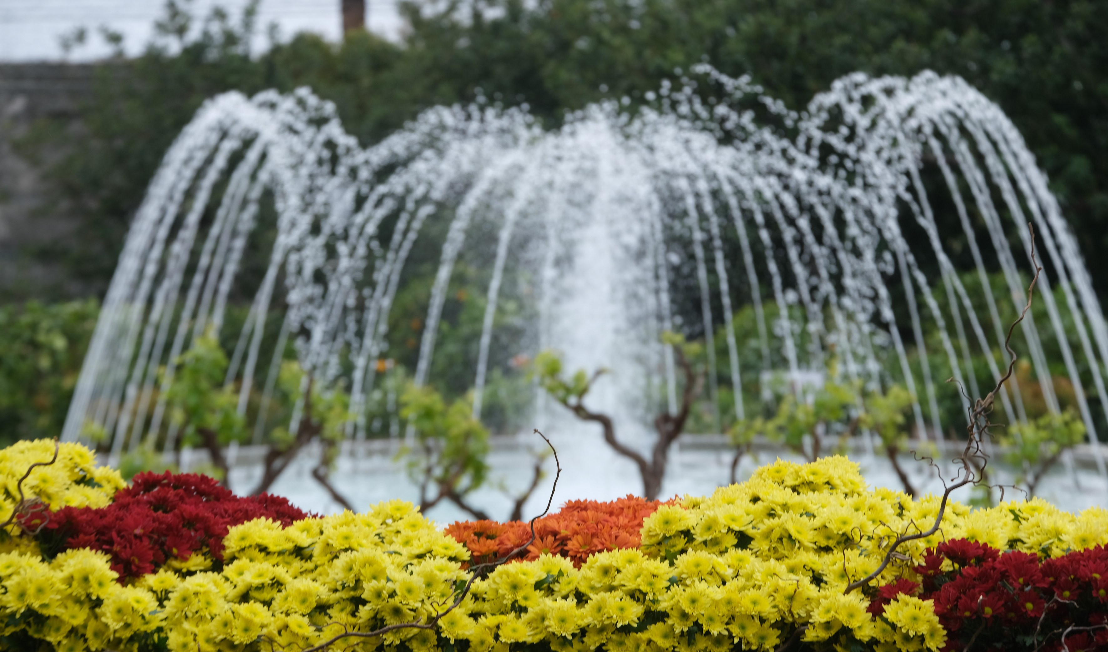 Euroflora 2022, visitatori da tutta Italia per la kermesse di Nervi