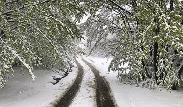 Maltempo, emanata allerta gialla per neve sui versanti padani Liguria