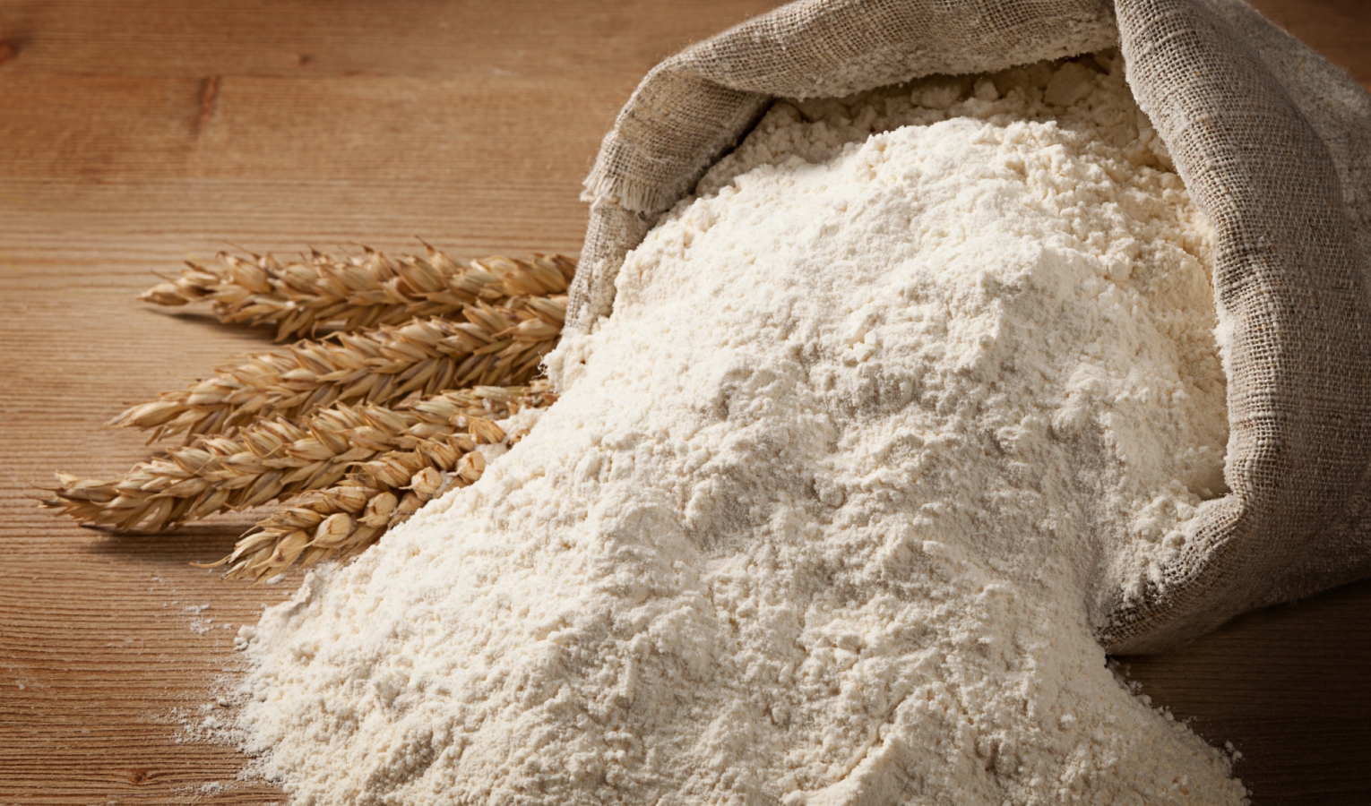 In Liguria la prova che la farina è stata scoperta prima dell'agricoltura