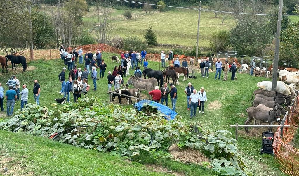 L'antica fiera del bestiame di Priosa (val d'Aveto) in 