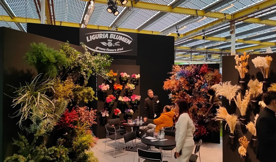 I fiori della Liguria fanno il giro del mondo: cresce fatturato ed export 