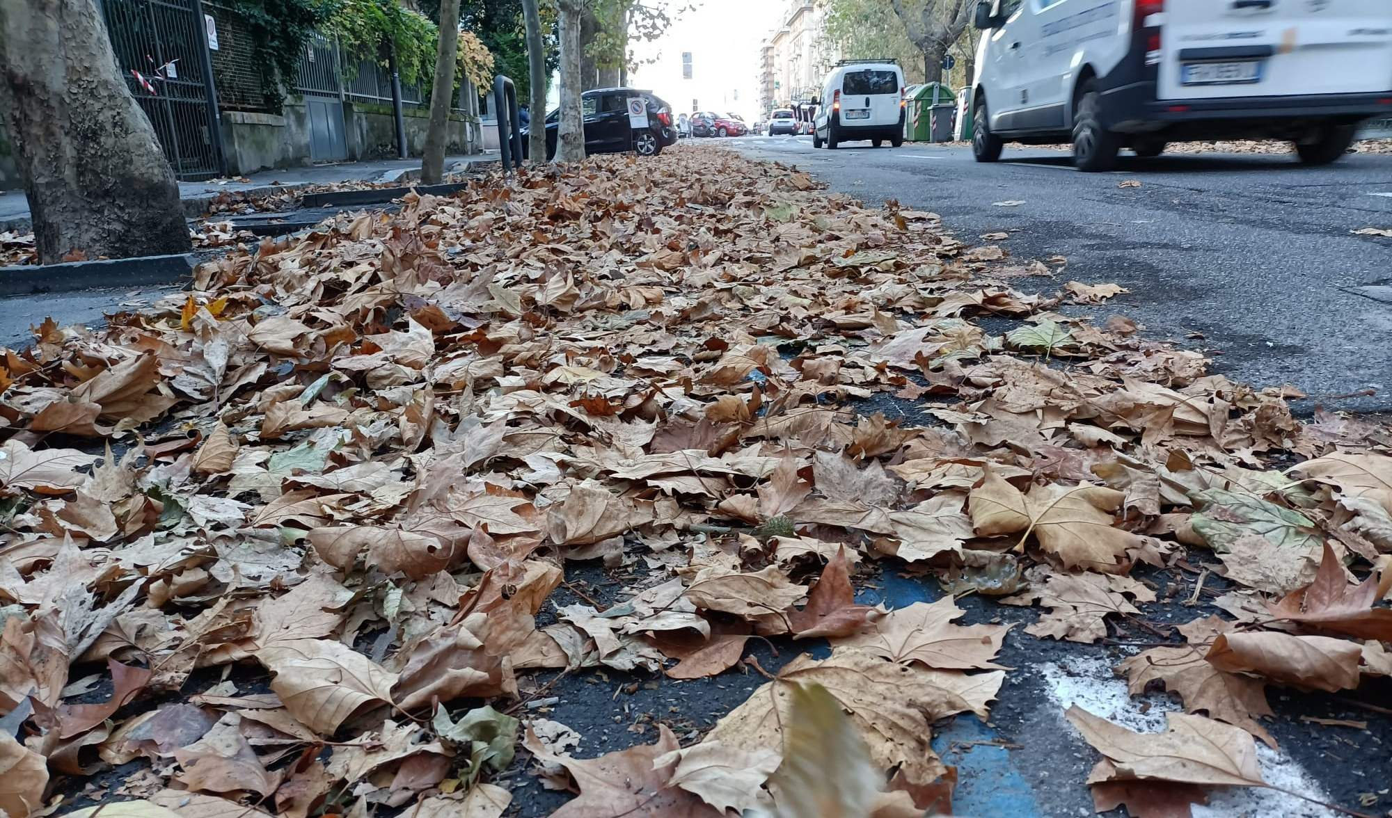 Genova, il foliage alla genovese divide la Foce