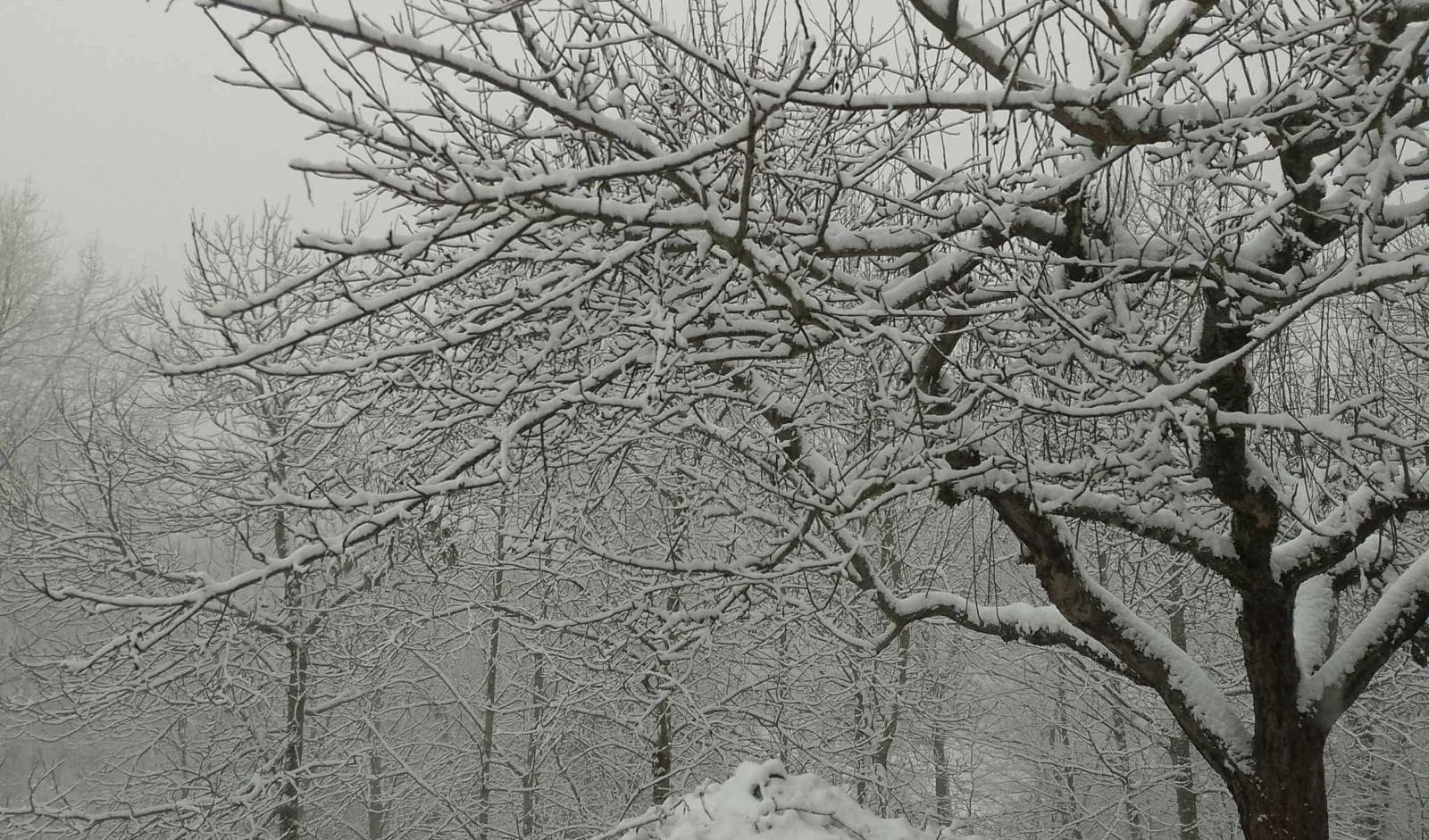 Freddo in Liguria: arriva il 