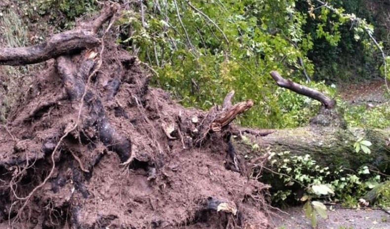 Ancora smottamenti sulla Statale della Val d'Aveto, strada chiusa fino al 10 novembre