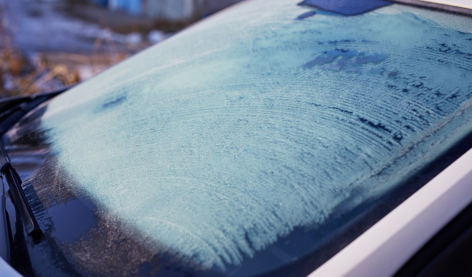 Perché Genova sembra l'artico? Temperature percepite sottozero spiegate 