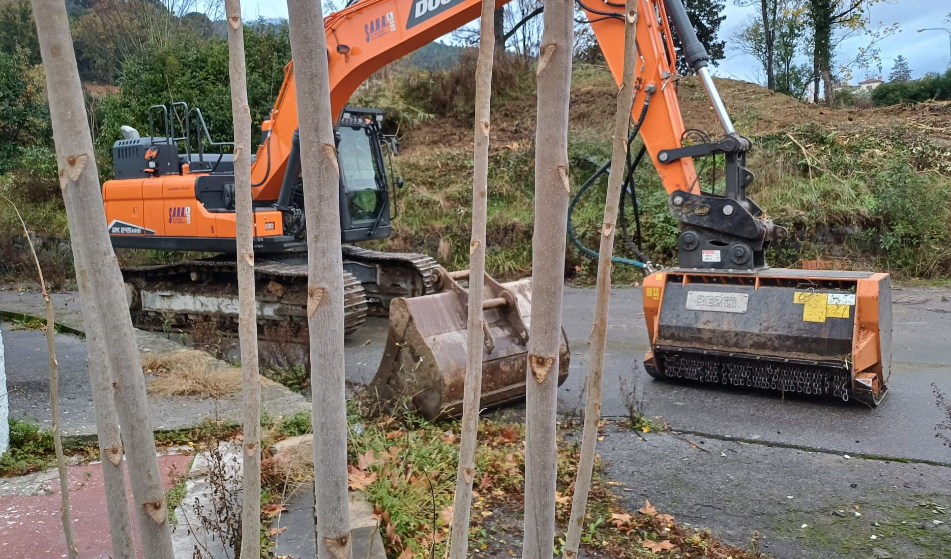 una ruspa dietro degli alberi