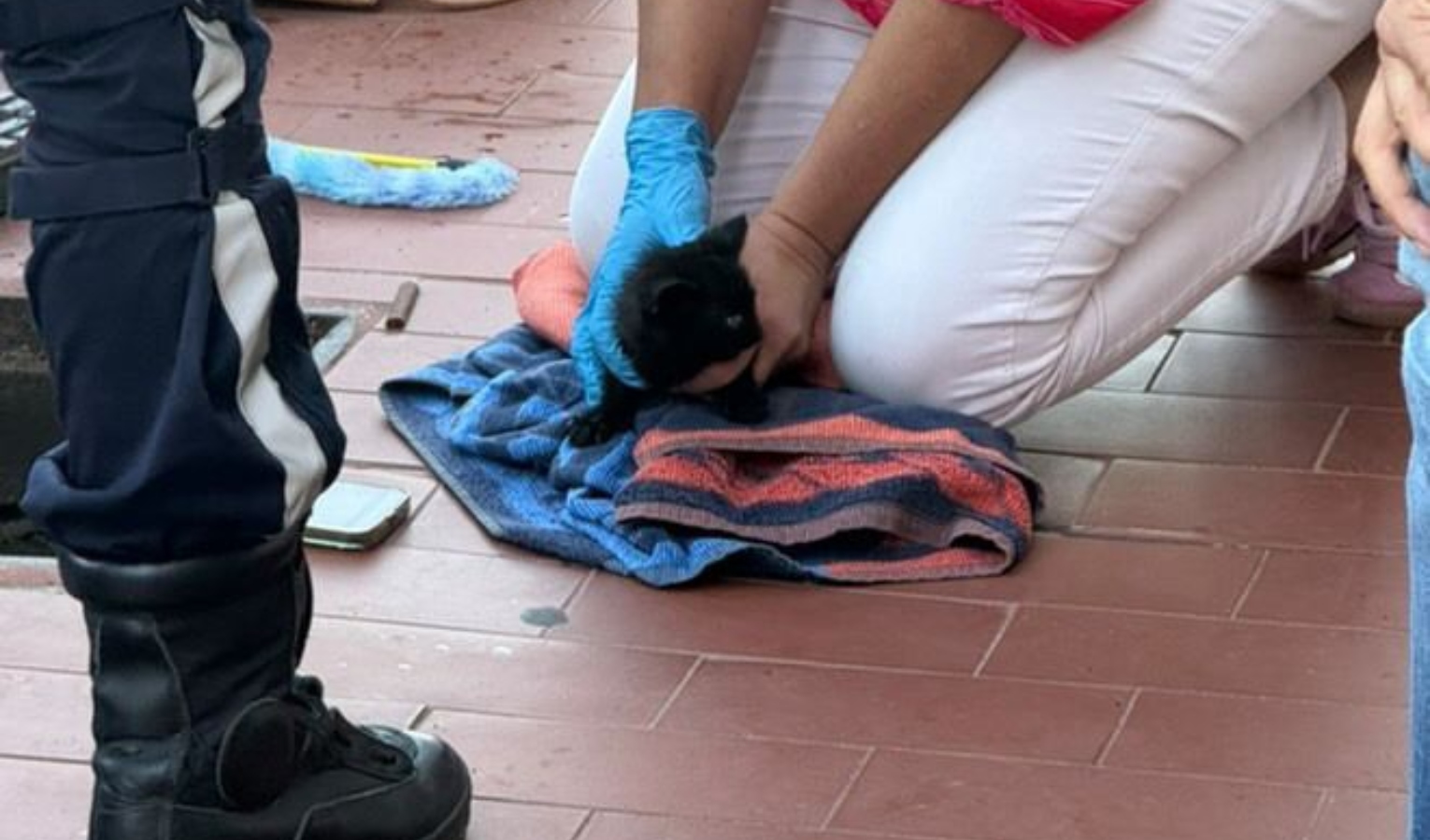 Gattino in un tombino di piazza Rossetti salvato dai vigili del fuoco