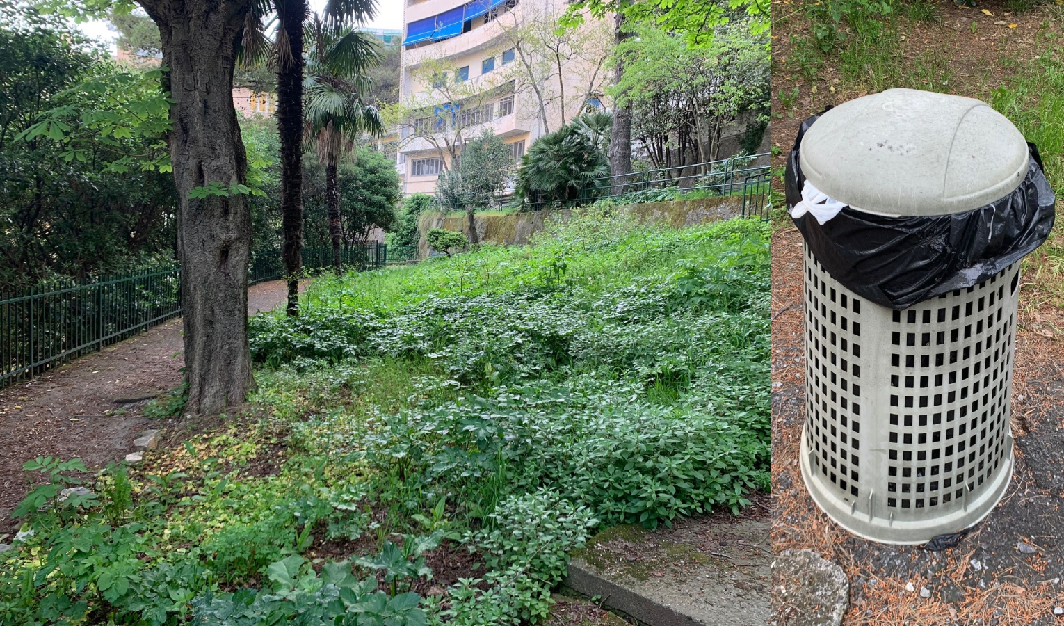 Genova, i detenuti al lavoro per ripulire i giardini della Val Bisagno