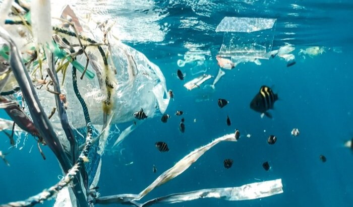 Il mare inquinato dalle plastiche